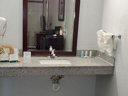 A hotel bathroom with a large mirror, sink, counter items, towel rack, trash can, and a striped carpet; overall neat and simple.